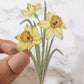 Daffodil/ Narcissus Watercolor Sticker, Clear, 3 x 2in
