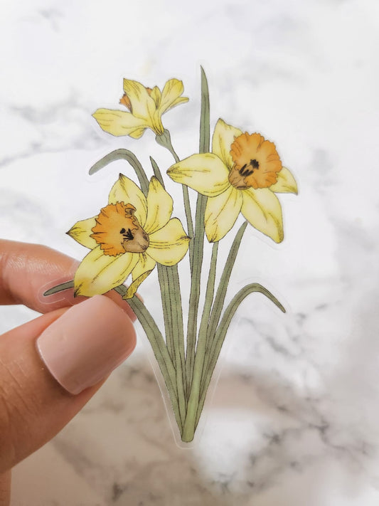 Daffodil/ Narcissus Watercolor Sticker, Clear, 3 x 2in
