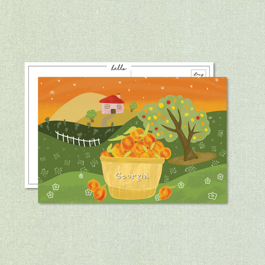 Georgia Peach Orchard Postcard