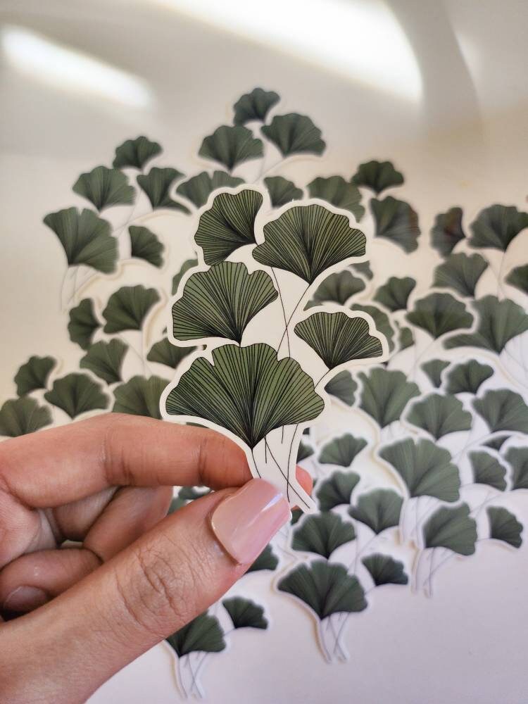 Ginkgo Leaf Watercolor Nature Sticker, Clear, 3 x 2.2in