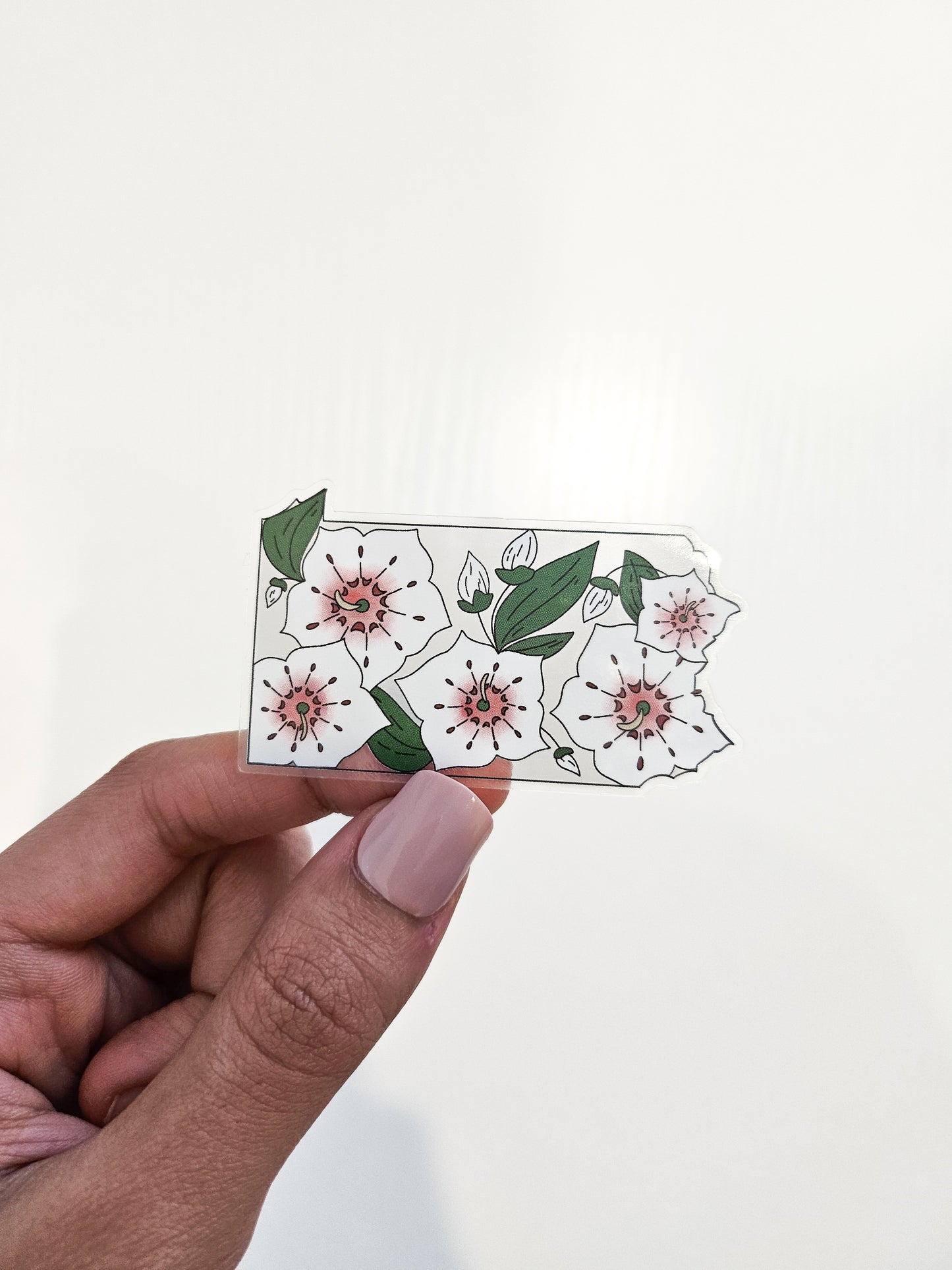 Pennsylvania State Flower Clear Sticker, 2.5x1.5in