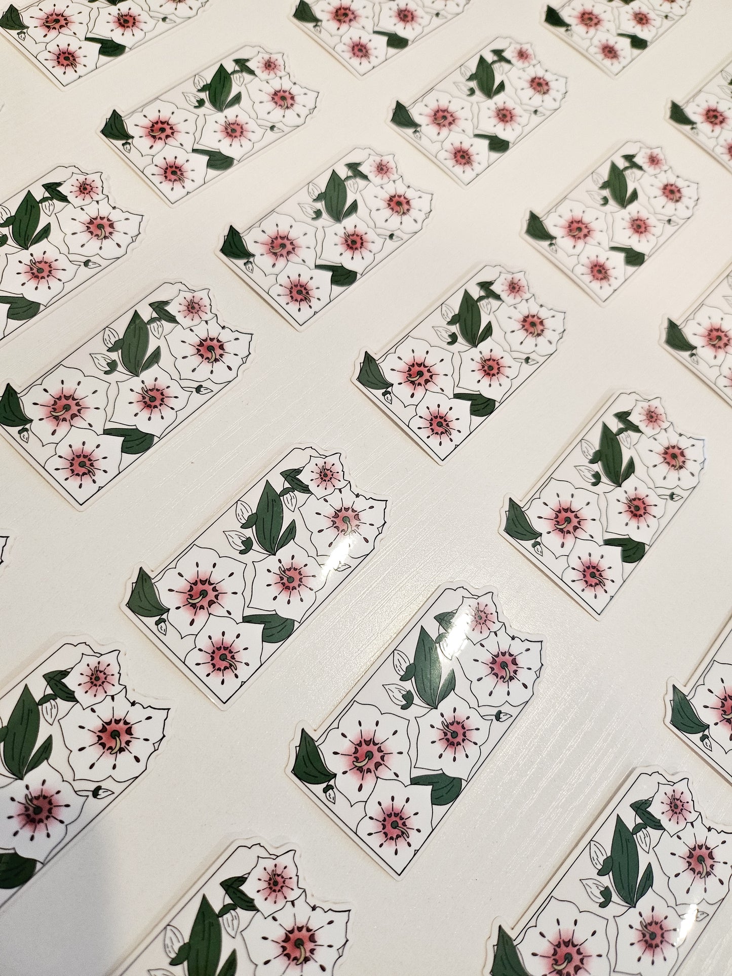 Pennsylvania State Flower Clear Sticker, 2.5x1.5in