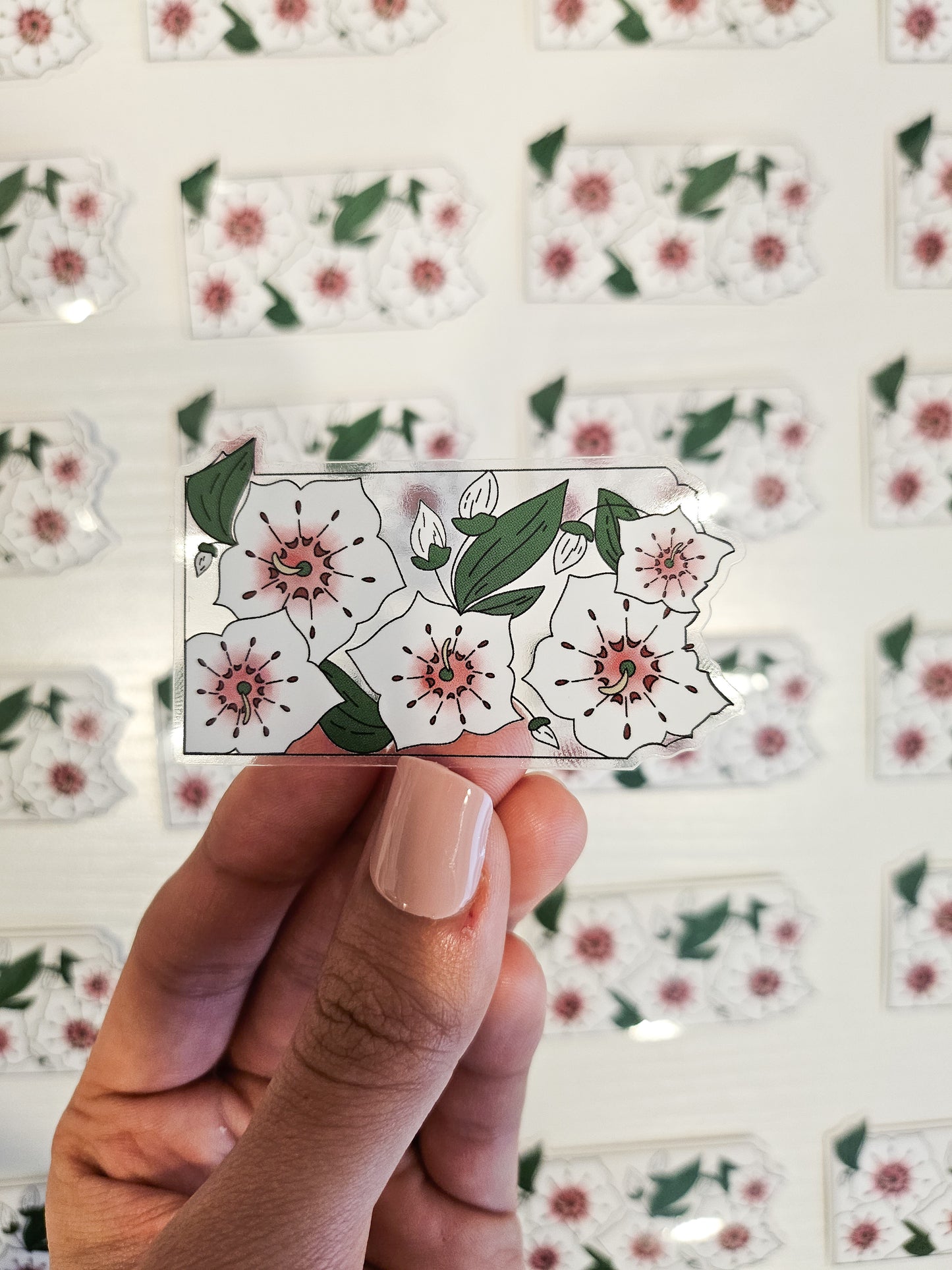 Pennsylvania State Flower Clear Sticker, 2.5x1.5in