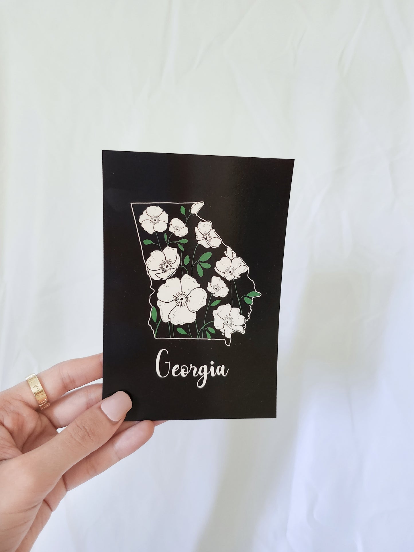 Georgia Postcard