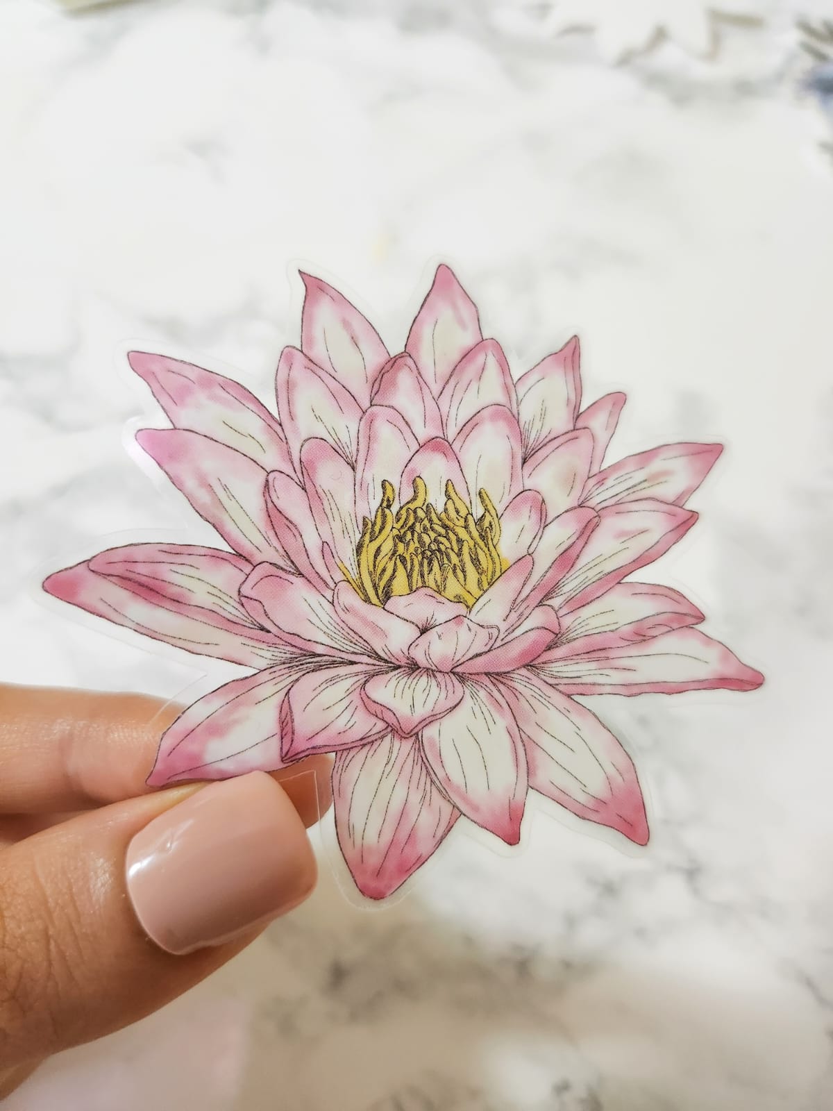 Water Lily Watercolor Flower Sticker, Clear, 3 x 2.7in