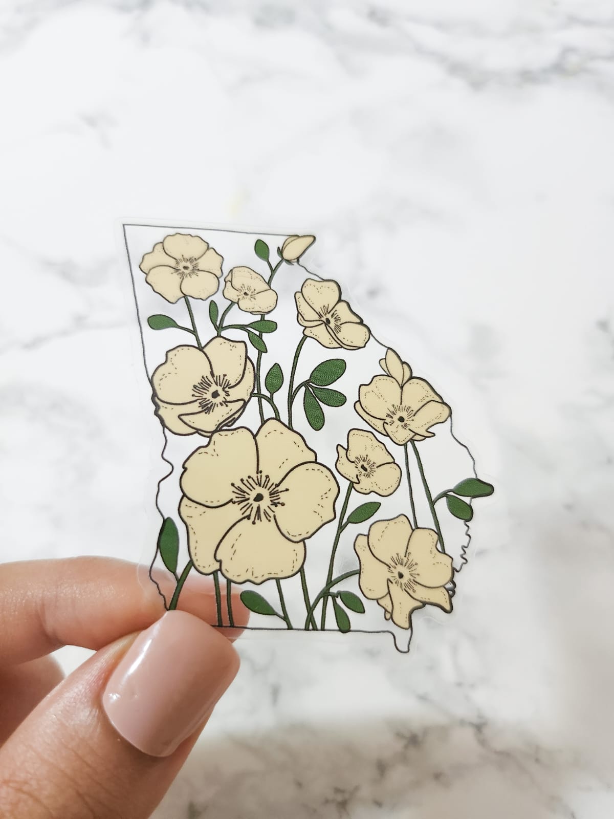 Georgia State Flower Sticker, Clear, 2.5 x 2.2in