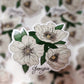 Georgia Flower Sticker, Vinyl, 3 x 3 in | Cherokee Rose