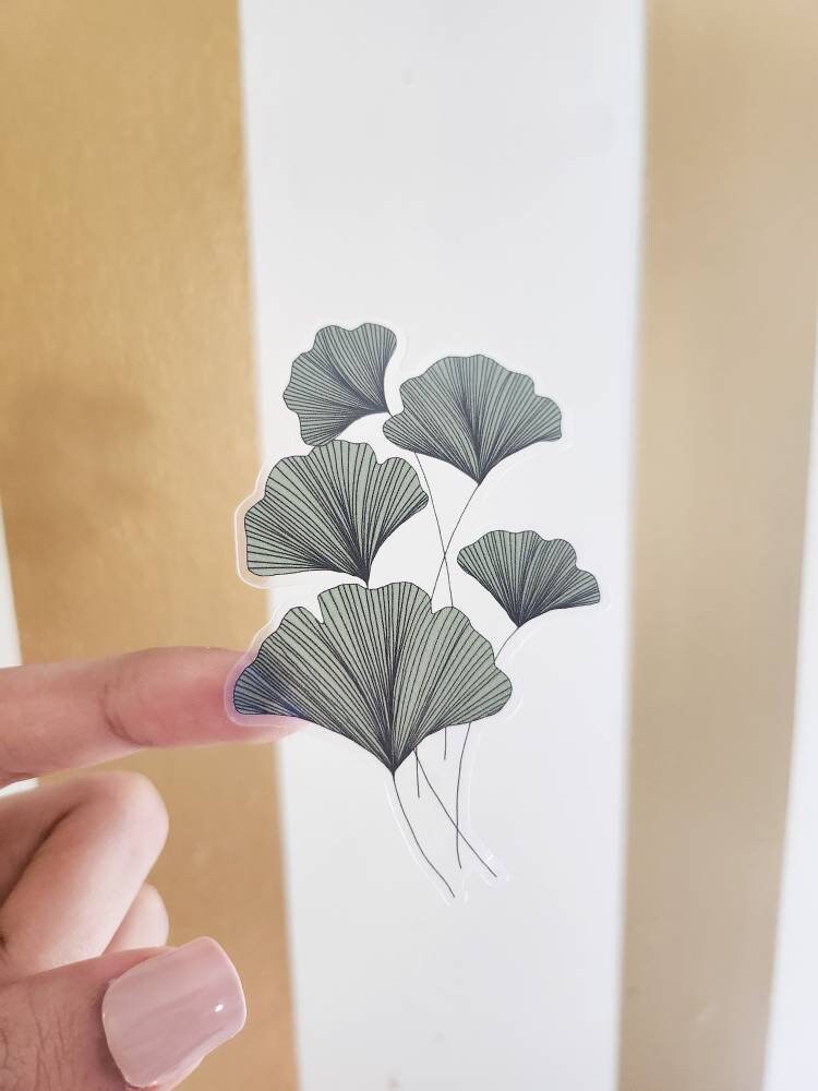 Ginkgo Leaf Watercolor Nature Sticker, Clear, 3 x 2.2in